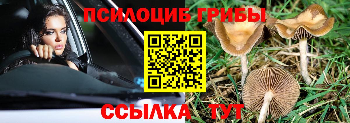 Воркута  Галлюциногенные грибы MAGIC MUSHROOMS  даркнет сайт  Вход с VPN 